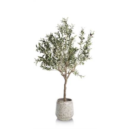 Coco Maison Olive Tree H150cm kunstplant